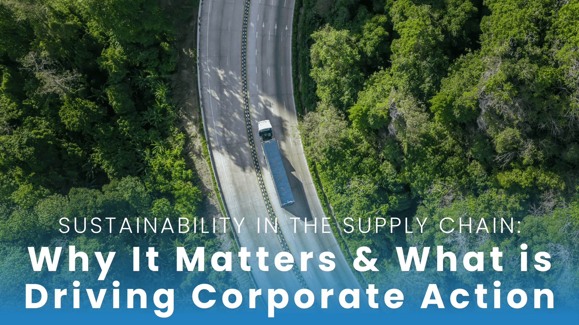 Featured image for “Why Sustainability in the Supply Chain Matters and What Is Driving Corporate Action”
